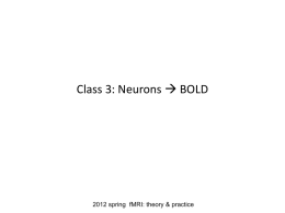 Neurons BOLD