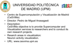 UNIVERSIDAD POLITÉCNICA DE MADRID (UPM)