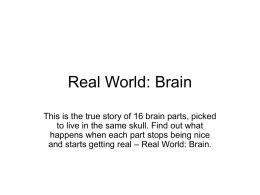 Real World: Brain