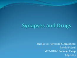 Synapses_and_Drugs