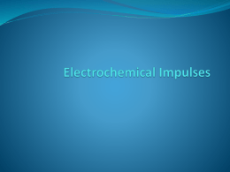 12-Electrochemical Impulse-website - kyoussef-mci