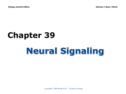 Chapter 39 Neural Signaling