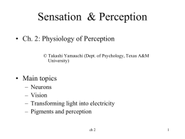 Ch 2 Physiology - Texas A&M University