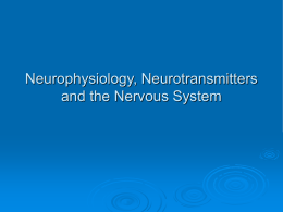 Neurophysiology Neurotransmitter and Nervous System