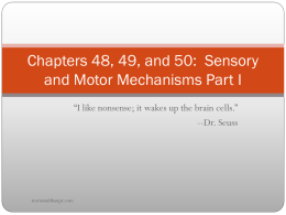 Chapter 49 and 50 Presentations-Sensory and Motor Mechanisms