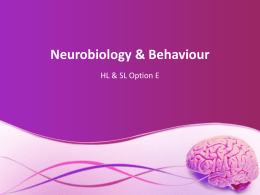 Neurobiology & Behaviour - IB