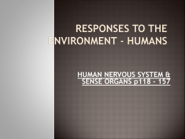 Responding to the environment humans