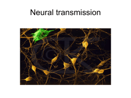 Neural transmission