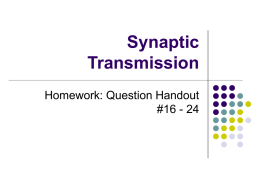 9.3 Synaptic Transmission