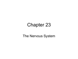 Chapter 8 - Cloudfront.net