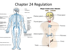 Chapter 24 Regulatio..
