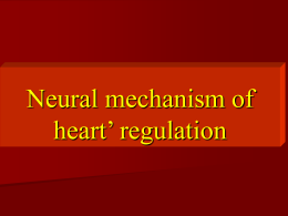 28 Neural mechanism of heart` regulation