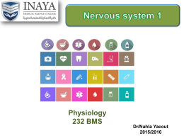Nervous system 1 - INAYA Medical College