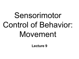 Control of Movement