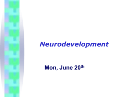 June 20_Neurodevelopment