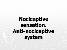 Nociceptive sensation