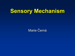 34-Sensory-Mechanism