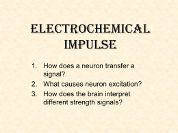 electrochemical impulse