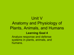 Unit V Anatomy and Physiology of Plants, Animals, and Humans