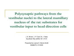 substrates for vestibular input to head direction cells