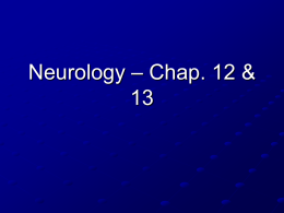 Neurology - wsscience