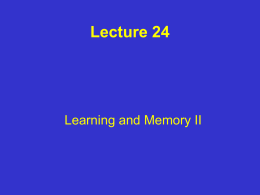 Lecture 24_web