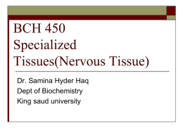 BCH 450 Nervous Tissues