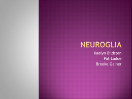 Neuroglia - wsscience