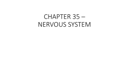 chapter 35 * nervous system - Bishop McGann