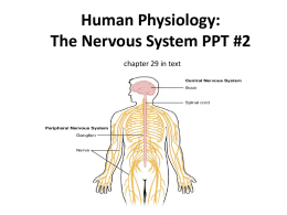 PPt #2 Human Body Nervous system