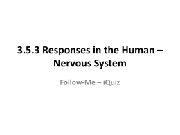 3.5.3 Responses in the Human * Nervous System