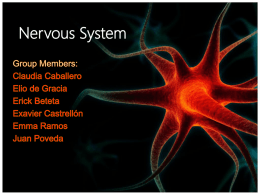 Nervous System - IHMC Public Cmaps