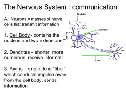 CH 9 Nervous system notes - North Community High School