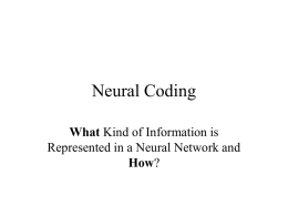 Neural Coding