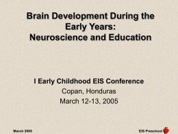 Brain Development During the Early Years