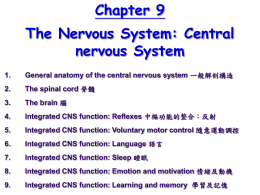 Chapter 9-中樞神經系統檔案
