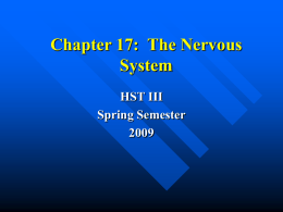 Chapter 17: The Nervous System - Practicum-Health-Science-I