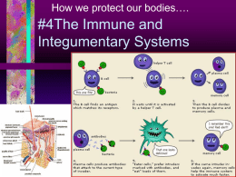The Immune and Integumentary Systems
