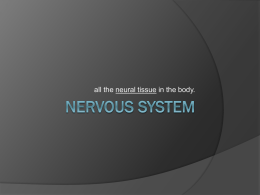 New Nervousx