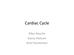 Cardaic Cycle