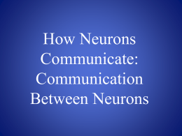 How Neurons Communicate: Communication