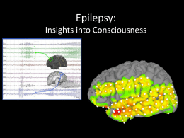 Epilepsy - Neurobowe
