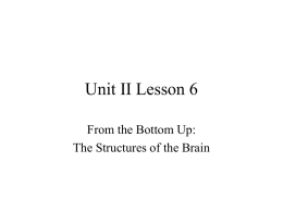 Unit II: Body and Mind