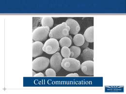 NMSI - Cell Signaling