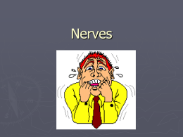 chp_16-nerves