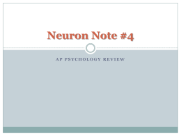 Neuron Note #3 - WordPress.com