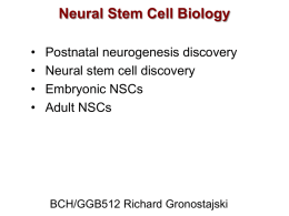 Neural Stem Cell Biology