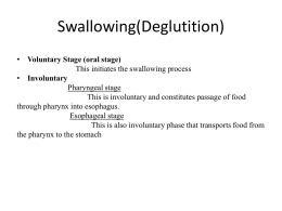 Swallowing - MBBS Students Club