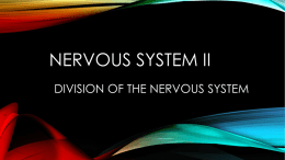 Nervous System II Division of the Nervous system