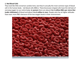 1. Red Blood Cells They look like little cinnamon candies here, but